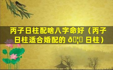 丙子日柱配啥八字命好（丙子日柱适合婚配的 🦅 日柱）